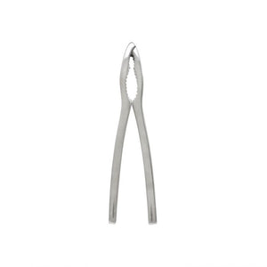 Pinza para langosta 6" de acero fundido