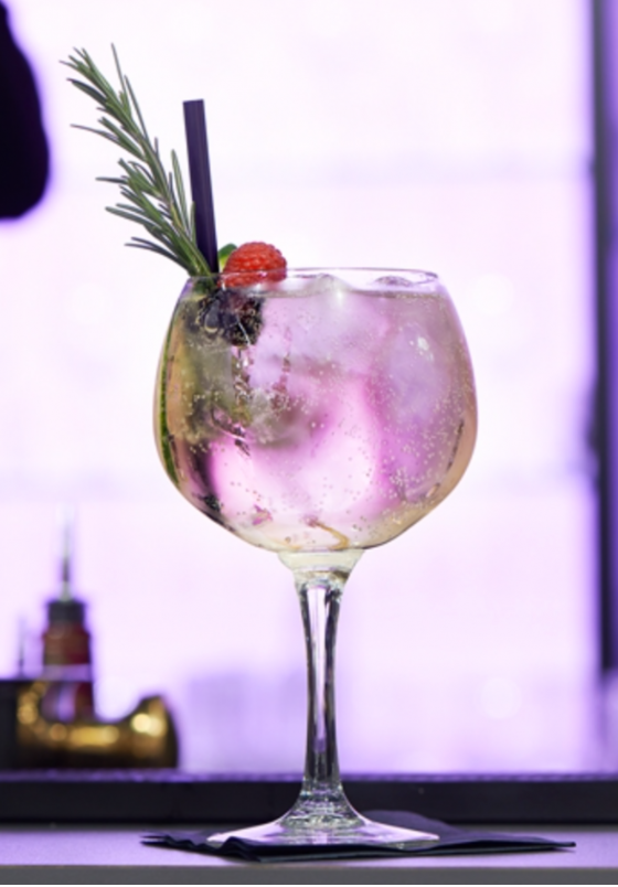 Copa GinTonic 20 oz.